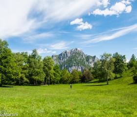 Parco del Monte Barro