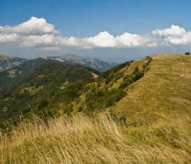 Parco dell'Antola