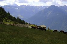 Alpe Caldenno